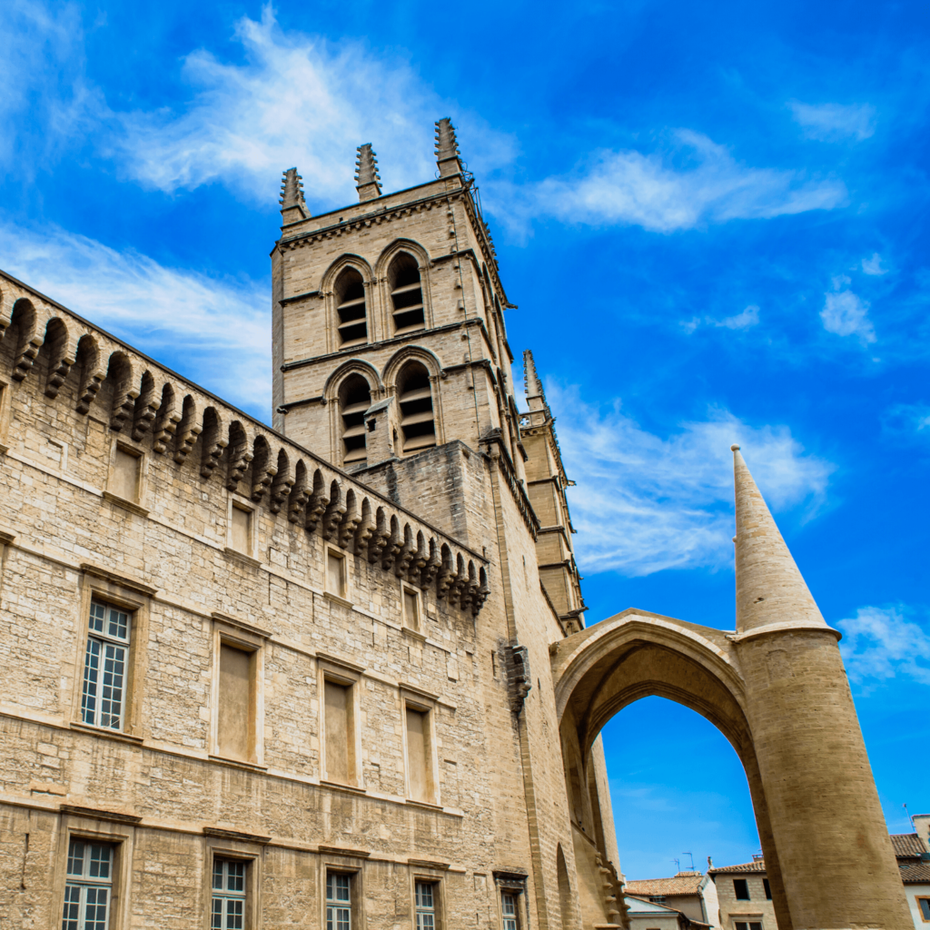 10 Things To Know About Montpellier Lsf Learn French In South Of France