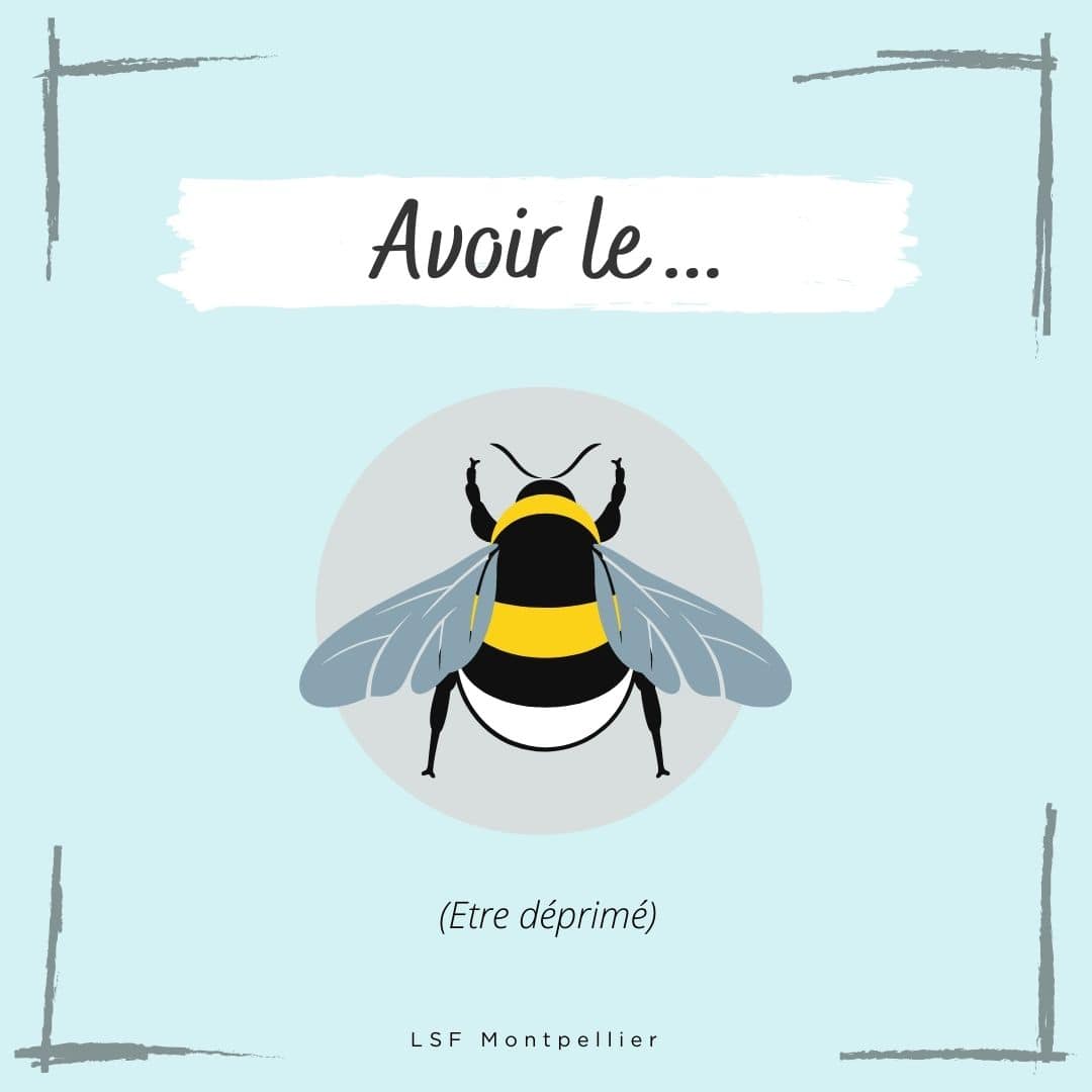 10 illustrated French expressions 1